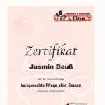 05-zertifikat-pflege-aller-rassen-jasmin-dauss-jada-petstyling-de-hundefriseurin-trimmen-grooming.jpg