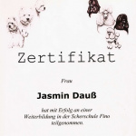 09-zertifikat-weiterbildung-jasmin-dauss-jada-petstyling-de-hundefriseurin-trimmen-grooming.jpg