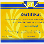 12-zertifikat-leipzig-groom-jasmin-dauss-jada-petstyling-de-hundefriseurin-trimmen-grooming.jpg